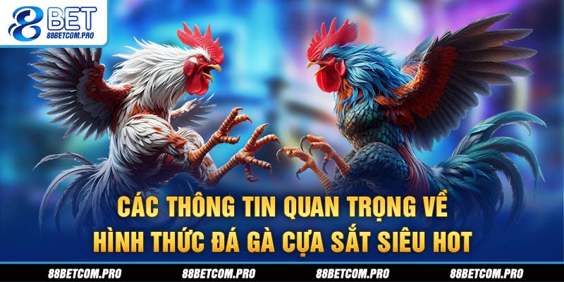 Các thông tin quan trọng về hình thức đá gà cựa sắt siêu Hot