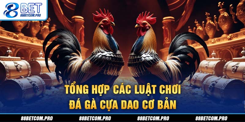 Tổng hợp các luật chơi đá gà cựa dao cơ bản